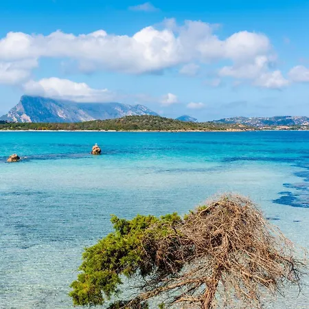 Apposentu - Happy * San Teodoro (Sardinia)